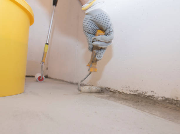 Best Termite Inspection and Treatment  in Rolla, MO